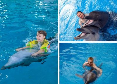 Antalya Schwimmen mit Delfinen Foto