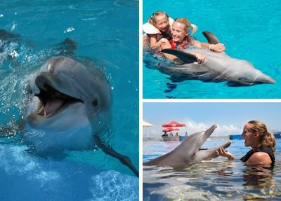 Belek Schwimmen mit Delfinen Foto