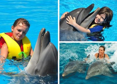 Mit Delfinen in Side schwimmen Foto