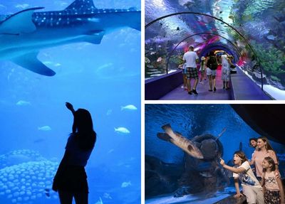 Side Antalya Aquarium Tour Foto