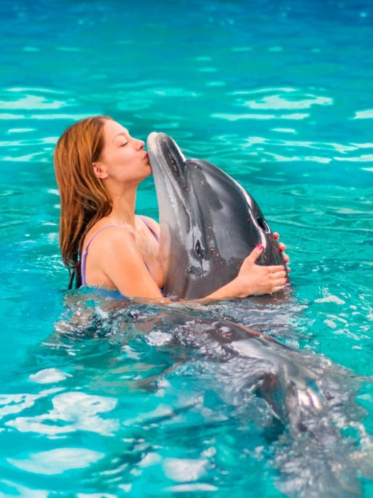 11Schwimmen mit Delfinen in Kemer