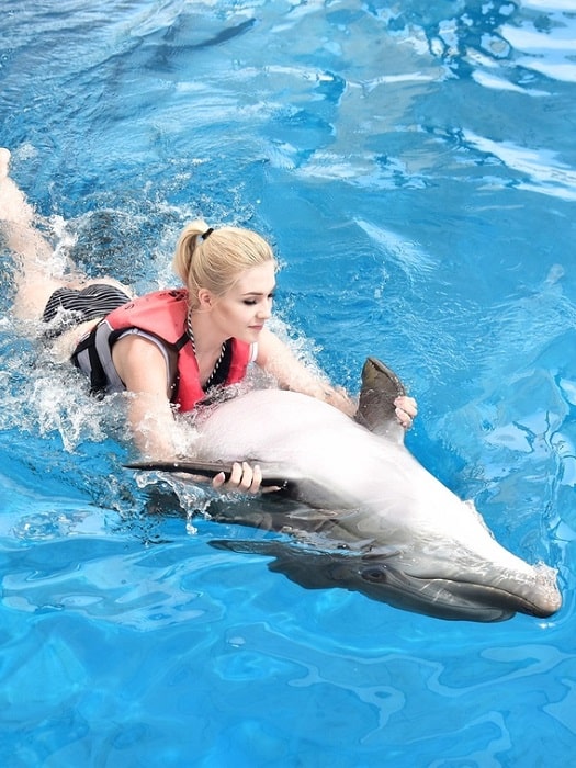 11Schwimmen mit Delfinen in Kemer