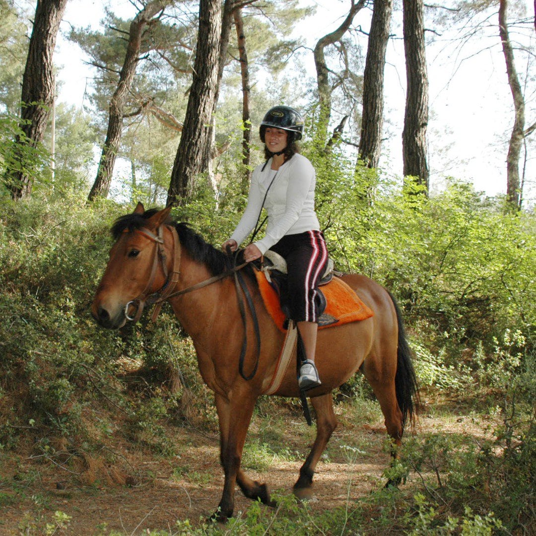 11Pferde Reiten in Antalya