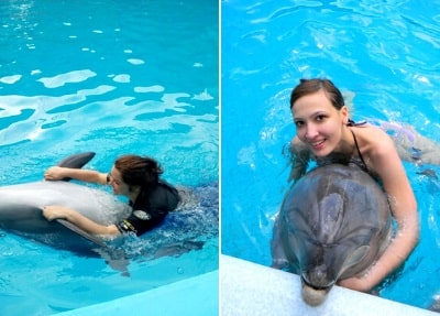 Schwimmen mit Delfinen in Alanya