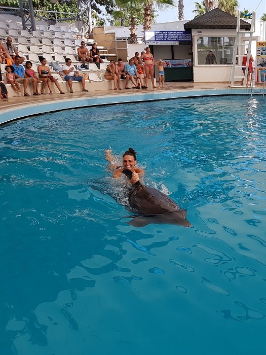 11Schwimmen mit Delfinen in Side