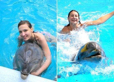 Schwimmen mit Delfinen in Side