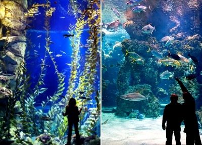 Ausflug zum Antalya Aquarium 20