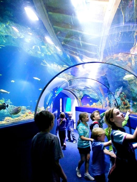 11Antalya Aquarium Tour von Belek
