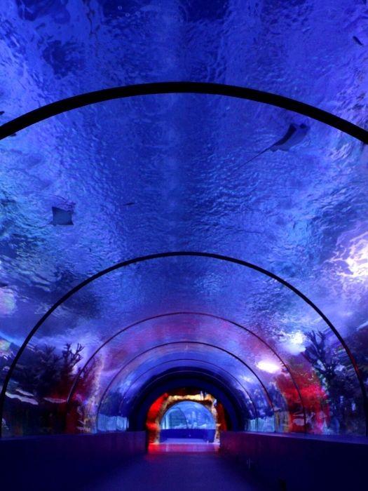11Antalya Tunnel Aquarium von Kemer