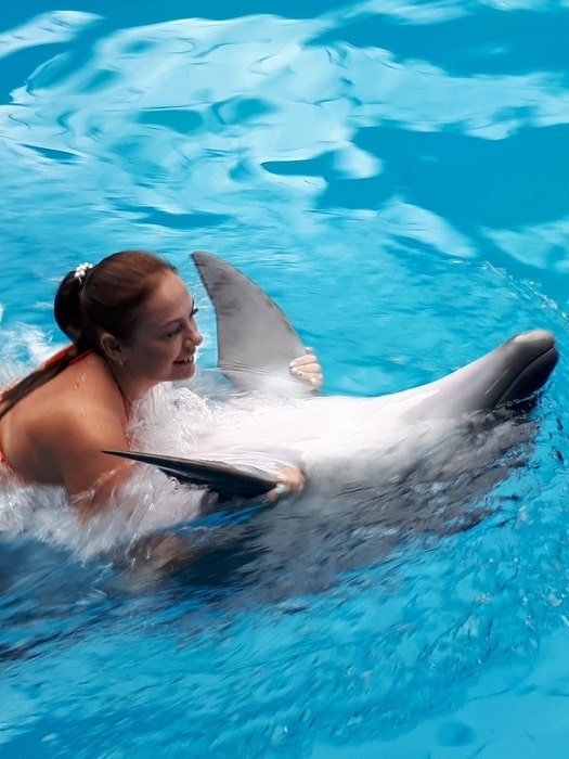 11Schwimmen mit Delfinen in Belek