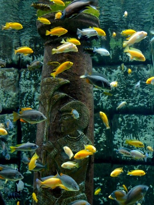 11Side nach Antalya Aquarium