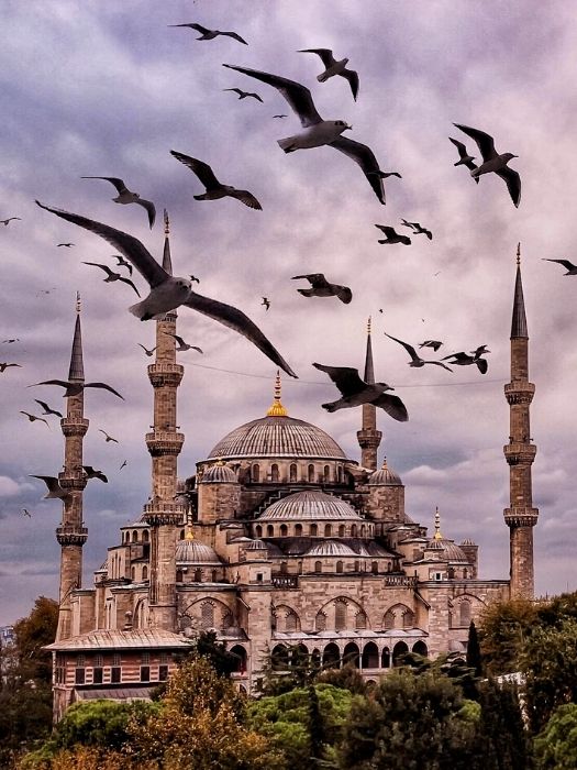 11Stadtrundfahrt durch Istanbul von Alanya