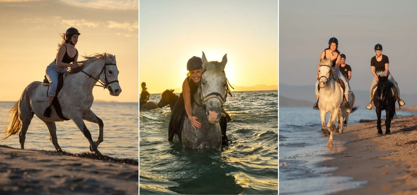 Kos Pferde Reiten: Salzsee & Strand (für Anfänger und Fortgeschrittene)